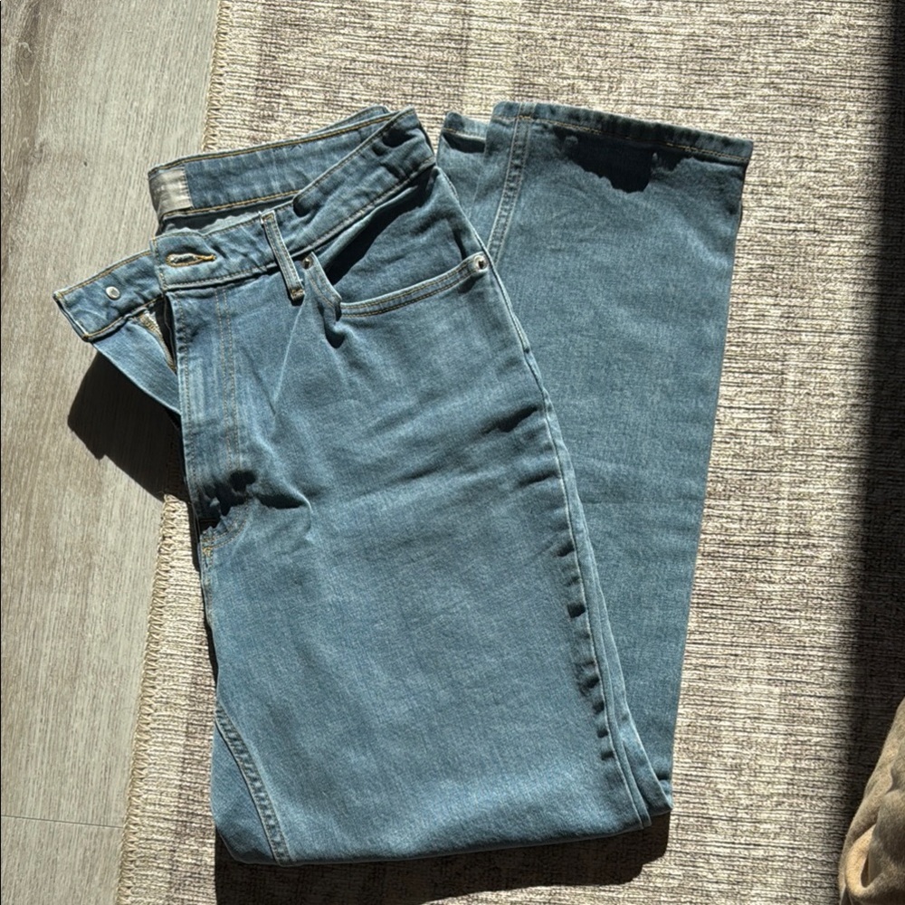 Everlane NWOT Curvy Cheeky Blue Jeans Organic Cotton 31R